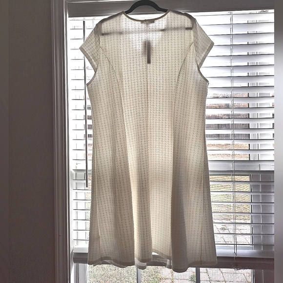 Beautiful New Light Cream Fit And Flare Dress With Cap Sleeves - Picture 6 of 7